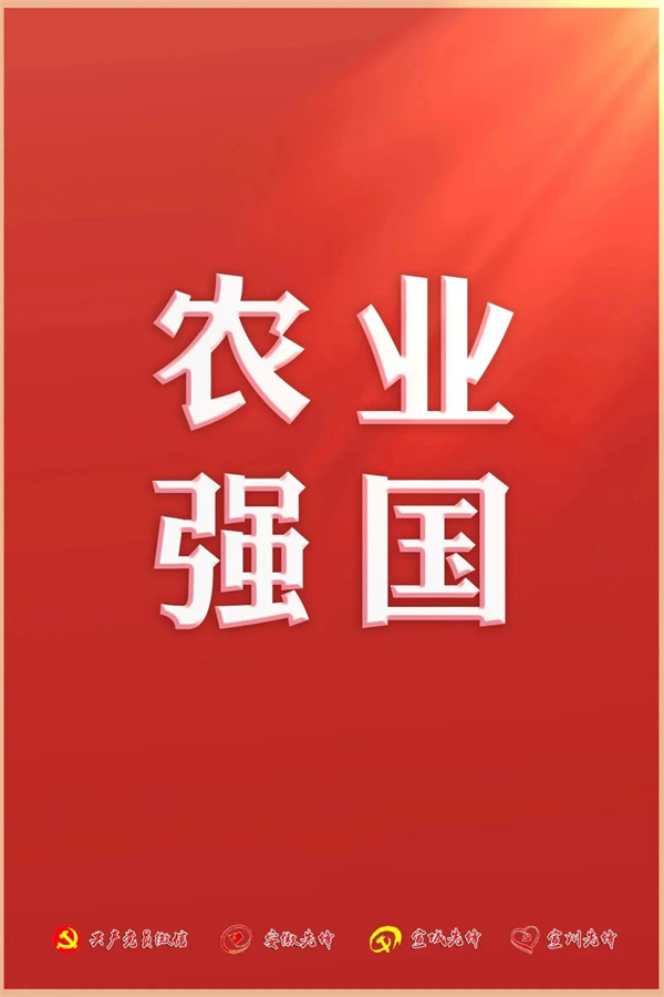 党的二十大报告，提到这些强国建设