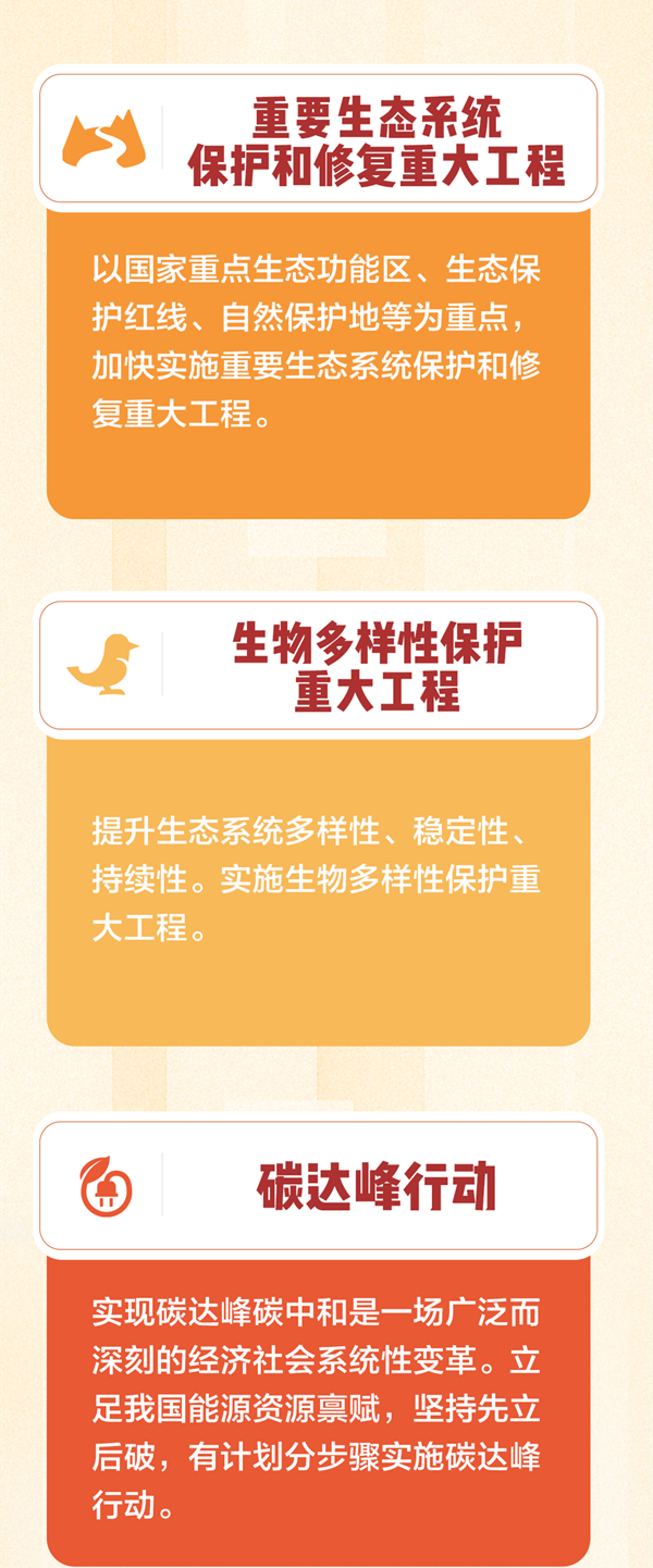 党的二十大报告，提到这些行动和工程